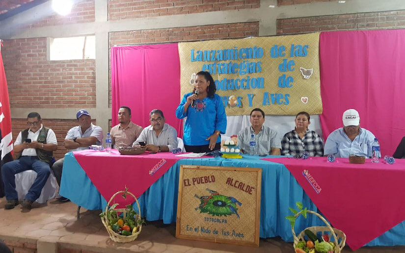 totogalpa-presentacion-estrategia-aves